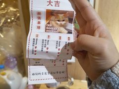 -MOCHA明星猫咖(田子坊店)
