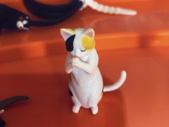 -星河寰宇IMAX影城(星河WORLD·COCO Park店)