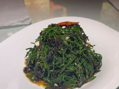 -阿西娅食府(中关村店)