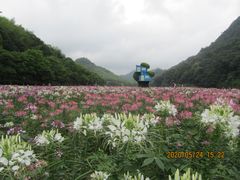 -广州市石门国家森林公园