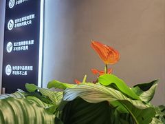 -管氏翅吧(地安门创始店)