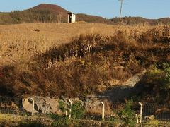 -河口景区