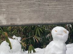 -瓦屋山景区