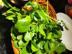 西洋菜-官也街澳门火锅(新源里店)