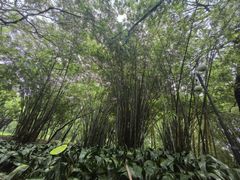 -晓港公园