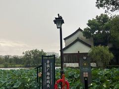 -鲁镇