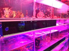 -双季花艺园艺市场(浦东店)
