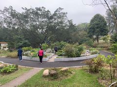 -广西壮族自治区药用植物园