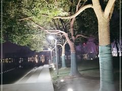 -天鹅湖体育公园