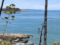 -漳州滨海火山岛自然生态风景区