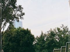 -重庆市江北嘴中央商务区中央公园