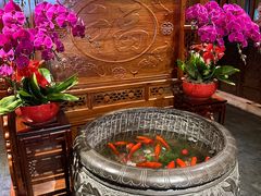-小吊梨汤·北京菜·烤鸭(四元桥店)
