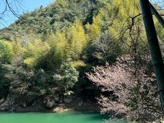 -四明山国家森林公园