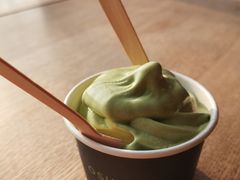 景点-雪绿茶博物馆