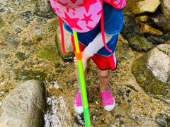 -碓臼峪自然风景区