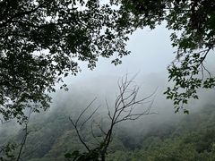 -北京凤凰岭