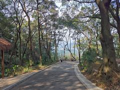 -广州市帽峰山景区