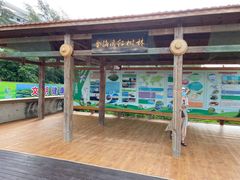 -北海金海湾红树林生态旅游区