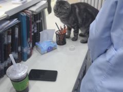-全心全意连锁动物医院·微创中心·内科急重症·心脏专科(丰管路店)