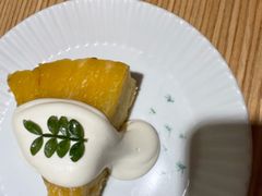 -猫里有甜