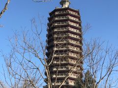 -西海子公园