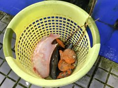 -小海豚•老字号海鲜餐厅(天涯店)