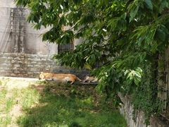 -西安秦岭野生动物园