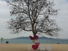 -青岛第一海水浴场