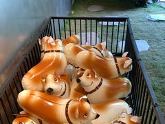 -J Create城市露营咖啡·简餐·宠物(上海动物园店)