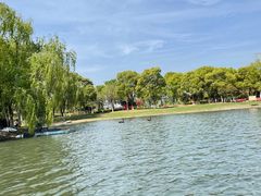 -西山漾湿地公园