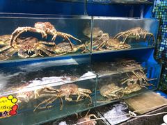 -蚝专家(北滘店)