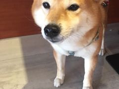 -沐渔二手奢侈品黄金手表包包回收·中古店(广州塔店)