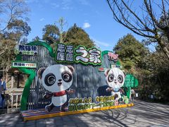 -中国大熊猫保护研究中心雅安碧峰峡基地