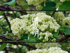 -无锡梅园公园