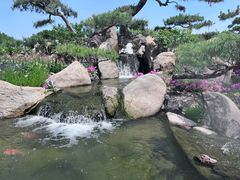 -罗红摄影艺术馆