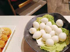 -红鼎坊·老成都火锅(新南门店)