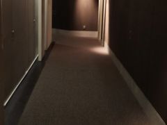 -上海柏悦酒店