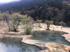 -黄龙山原始森林景区