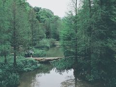 -云溪植物园