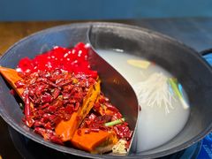 -阳阳老火锅(小南门店)