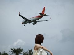 -空港花田景区