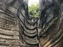 -梭布垭石林景区