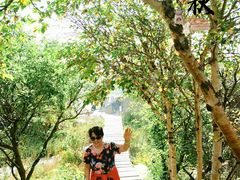 -白草畔自然风景区