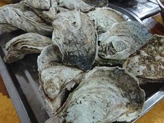 -蚝专家(北滘店)