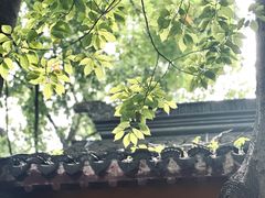 -龙华寺