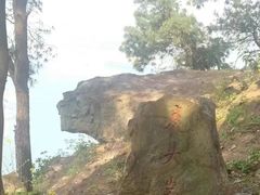 -铁山坪森林公园