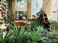 -大理董·董家小厨野生菌火锅(古城旗舰店)