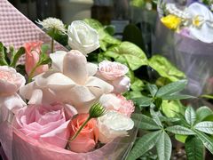 -循礼门鲜花花市(武汉循礼门店)