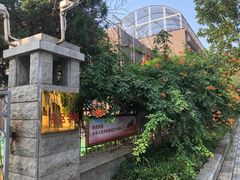 -岳阳道小学(大理道校区)