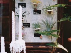 -棕榈岛海鲜自助餐厅(虹桥迎宾馆店)